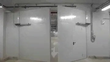 Противопожарные распашные ворота с калиткой